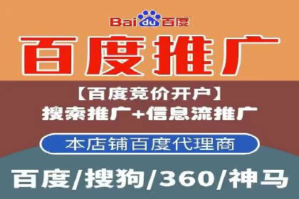 SEM推广案例：揭秘高ROI背后的策略与实践